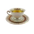 Alka Bavaria Sylvia Porcelain Tea Cup and Saucer Duo