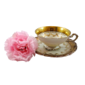 Alka Bavaria Sylvia Porcelain Maison Tea Cup and Saucer Duo