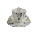 Shelley Pansies Cup & Saucer in the Queen Anne Shape Duo