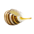 Stunning Hand Blown Art Glass Vase in the form of Shell