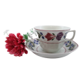 Adams Old Colonial Cup and Saucer Duo English Ironstone