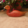 Birds of Africa carved and hand painted Pintail Duck