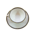 Rosenthal Bavaria Aida large cup saucer and plate