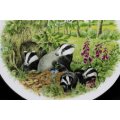 Badgers In Summer Decorative Wall Plate by Holly Barn
