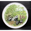 Badgers In Summer Decorative Wall Plate by Holly Barn