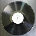 Ric Ocasek Beatitude Vinyl LP