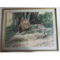 Lion and Lioness Large Framed Colour Photograph