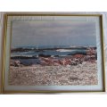 Cape Agulhas, Southern Tip Of Africa Large Framed Colour Photograph