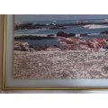 Cape Agulhas, Southern Tip Of Africa Large Framed Colour Photograph