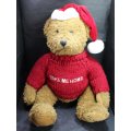 Take Me Home Teddy Bear with Knitted Jumper and a Red Cap