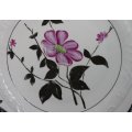 Vintage Hand Painted RW Bavaria US Zone Floral Pattern Decorative Wall Plate