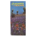 Vintage Flowers of Texas Folded Poster from Texas Highway Department