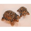 Mother and Baby Tortoise Ornaments by Wade