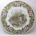 Vintage Decorative Wall Plate by Churchill - Wildlife Series `Anas Platyrhynchos` (Mallard Duck)