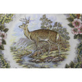 Vintage Decorative Plate by Churchill - Wildlife Scenes Series `Cervus Elaphus`