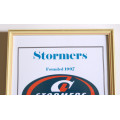 Stormers Super Rugby Honours Picture Frame