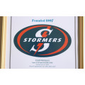 Stormers Super Rugby Honours Picture Frame
