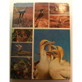 Birdlife in Southern Africa by Kenneth Newman Hardcover Book