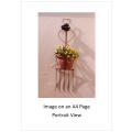 `Pot Plant In Rustic Ornament` Original Digital Download Stock Photo