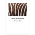 `Zebra Black & White Stripes` Original Digital Download Stock Photo