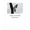 `Butterfly Sculpture in Profile` Original Digital Download Stock Photo
