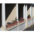 `Potplants On The Stoep` Original Digital Download Stock Photo