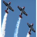 `Teamwork, Flying In Formation` Original Digital Download Stock Photo