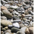 `Rocky Beach, Arniston` Original Digital Download Stock Photo