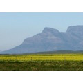 `Table Mountain, Cape Town` Original Digital Download Stock Photo