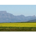 `Table Mountain, Cape Town` Original Digital Download Stock Photo