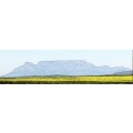`Table Mountain, Cape Town, Outline Abstract` Original Digital Download Stock Photo