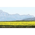`Table Mountain, Cape Town, Outline Abstract` Original Digital Download Stock Photo