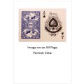 `Playing Cards: Bin Wang Ace of Spades` Original Digital Download Stock Photo