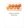 `Poultry Products: Fresh Eggs` Original Digital Download Stock Photo