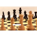 `Chess Board with Pieces Black King and Queen Behind Pawns` Original Digital Download Stock Photo