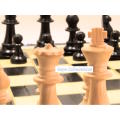 `Chess Board with Pieces` Original Digital Download Stock Photo