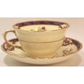 Vintage Bone China Tuscan China Footed Teacup and Saucer Blue Trim  & Floral Lowestoft Pattern