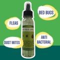Bed Bug Spray R17ea