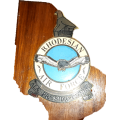 Royal Rhodesian Air Force Collection of Original Plaques.