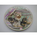 ADORABLE YORKIE DISPLAY PLATE!  FINE PORCELAIN MARBELLA ANDALUSIA SPAIN SIGNED M CLEAVER