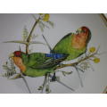 HERITAGE PORCELAIN ROSY FACED LOVE BIRD Ltd Ed DISPLAY PLATE. 23cm