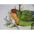 HERITAGE PORCELAIN ROSY FACED LOVE BIRD Ltd Ed DISPLAY PLATE. 23cm