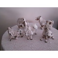 FAMILY OF 5 CHEVAL PONIES 13 CM HEIGHT