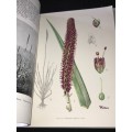 BOTHALIA. THE SOUTH AFRICAN SPECIES OF KNIPHOFIA BY THE BOTANICAL RESEARCH INSTITUTE
