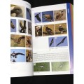 THE BUSHVELD INCLUDING THE KRUGER LOWVELD BY LEE GUTTERIDGE 2ND EDITION