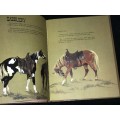 DEAN`S GOLD STAR BOOK OF COWBOYS