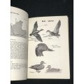 WATERFOWL OF THE CAPE PROVINCE A GUIDE FOR HUNTER`S AND NATURALISTS