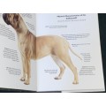 BULLMASTIFF BY JULIETTE CUNLIFFE