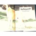 BULLMASTIFF BY JULIETTE CUNLIFFE