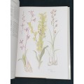 TRANSVAAL WILD FLOWERS PAINTINGS BY ANITA FABIAN AND TEXT BY GERRIT GERMISHUIZEN
